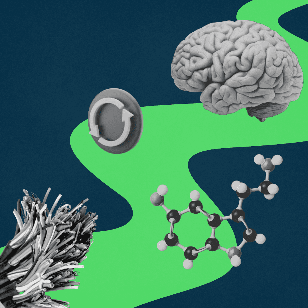 Rewiring the Brain After Addiction: What You Should Know