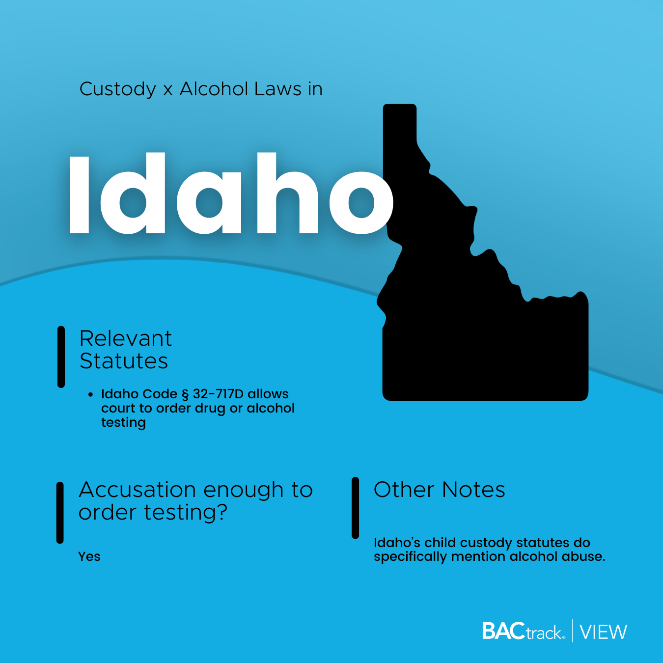 Child custody alcohol testing laws in Idaho infographic