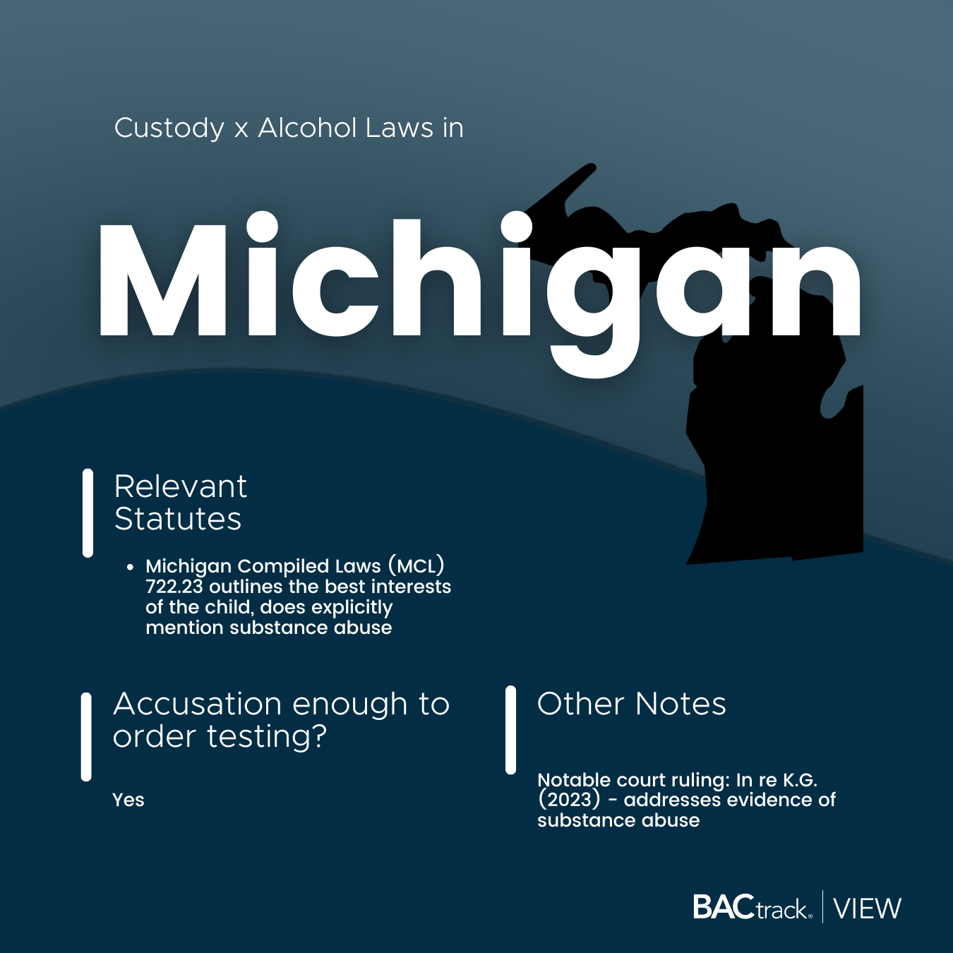 Child custody alcohol testing laws in Michigan infographic