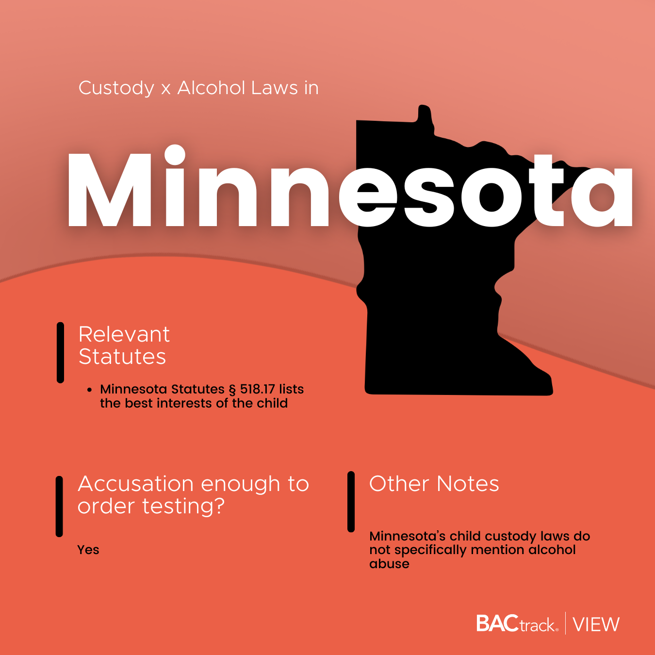 Child custody alcohol testing laws in Minnesota infographic