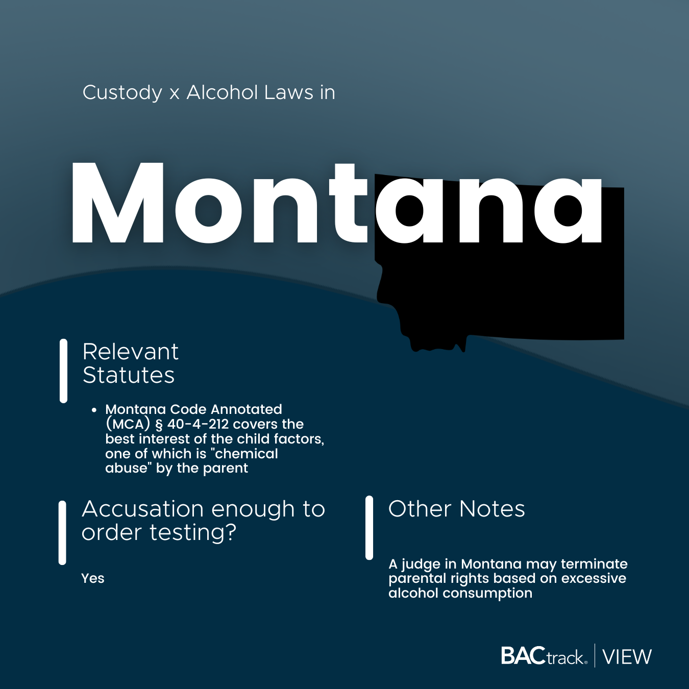 Child custody alcohol testing laws in Montana infographic