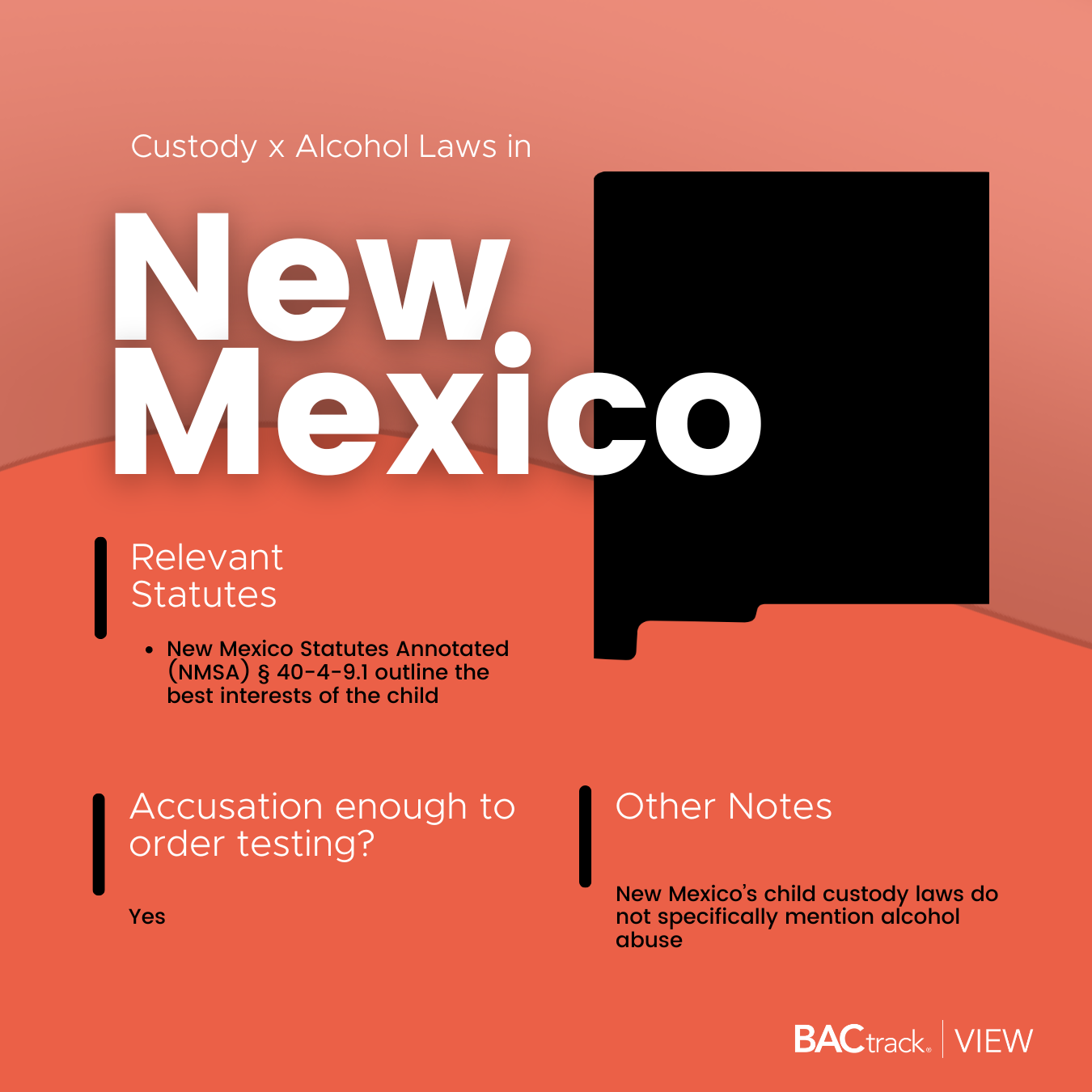 Child custody alcohol testing laws in New Mexico infographic