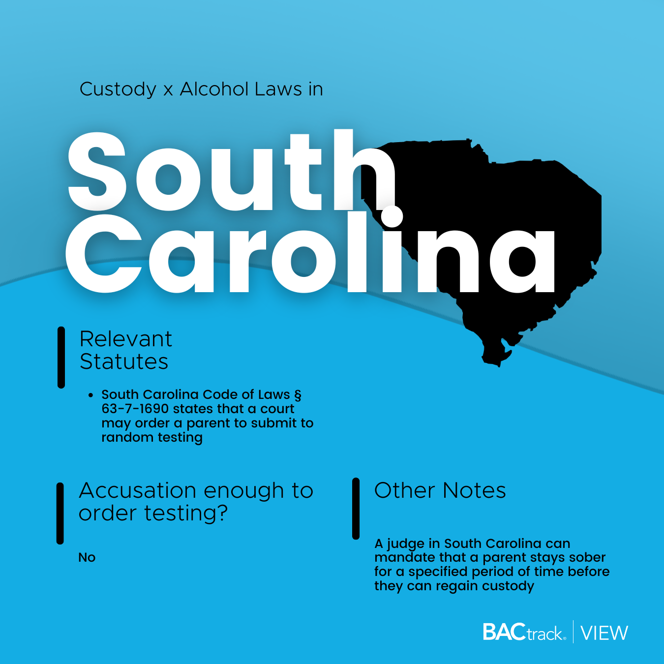 Child custody alcohol testing laws in South Carolina infographic