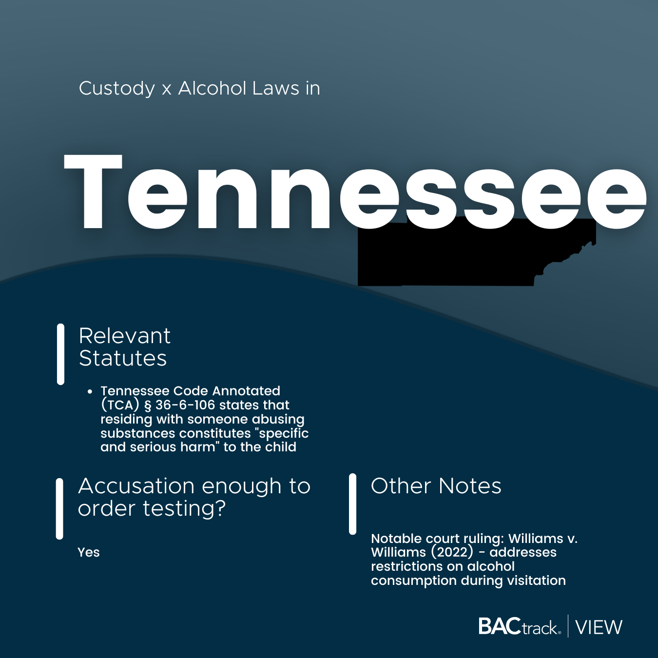 Child custody alcohol testing laws in Tennessee infographic