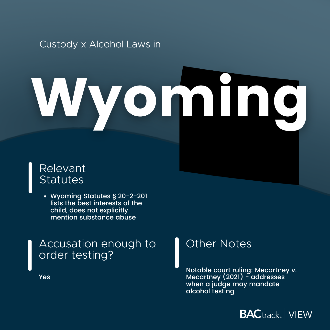 Child custody alcohol testing laws in Wyoming infographic