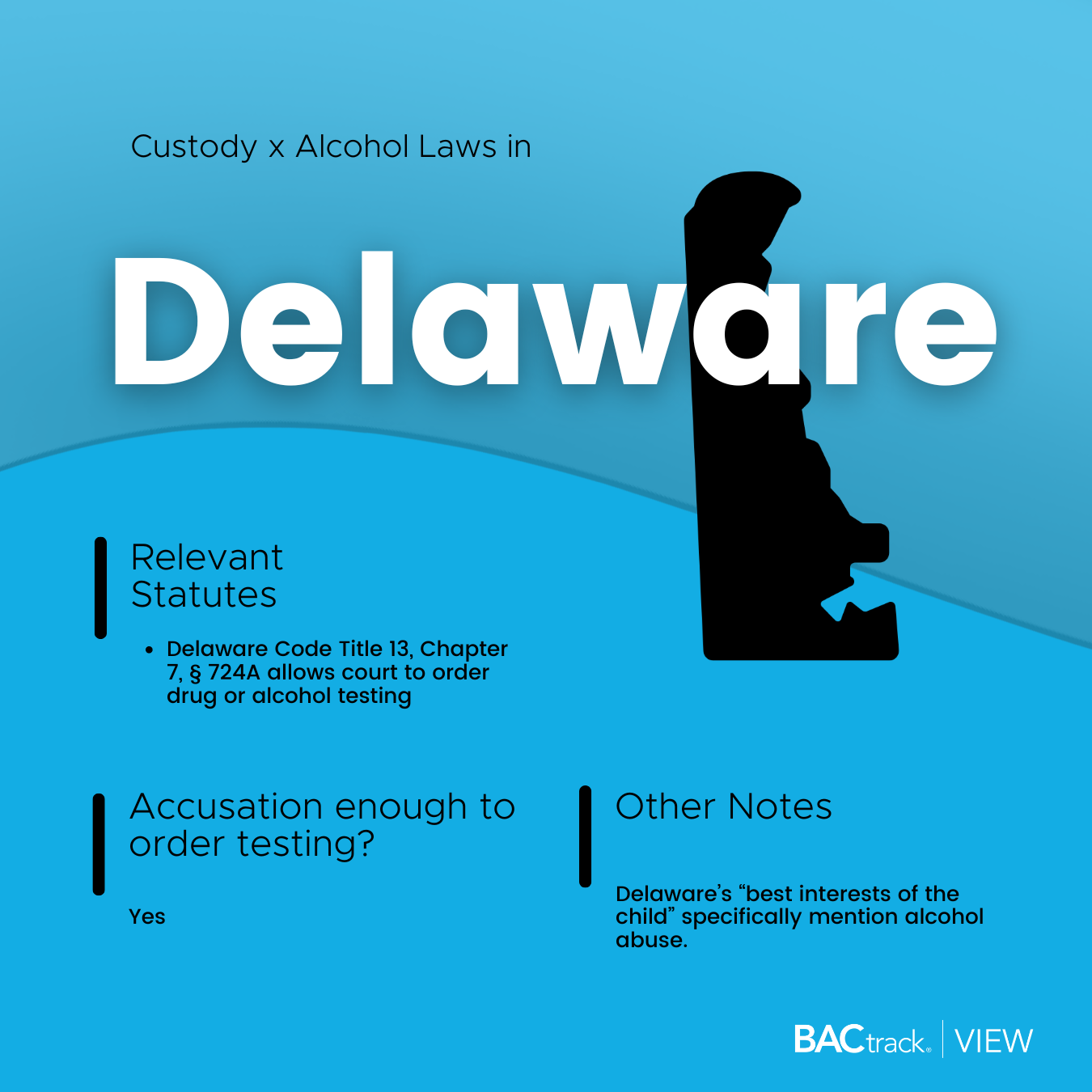 Child custody alcohol testing laws in Delaware infographic