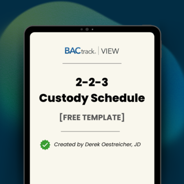 2-2-3 custody schedule featured image